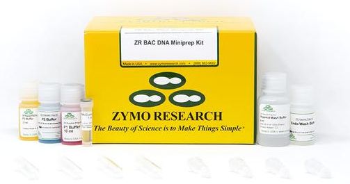 ZR BAC DNA Miniprep kit