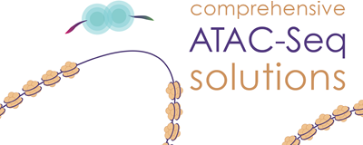 Download the ATAC-seq solutions brochure