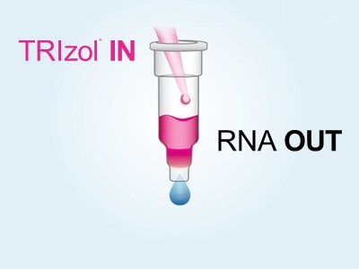 Try a free sample of the Direct-Zol RNA Miniprep kit