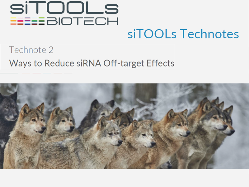 Tech note: Ways to reduce siRNA off-target effects 