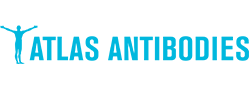 Atlas Antibodies 